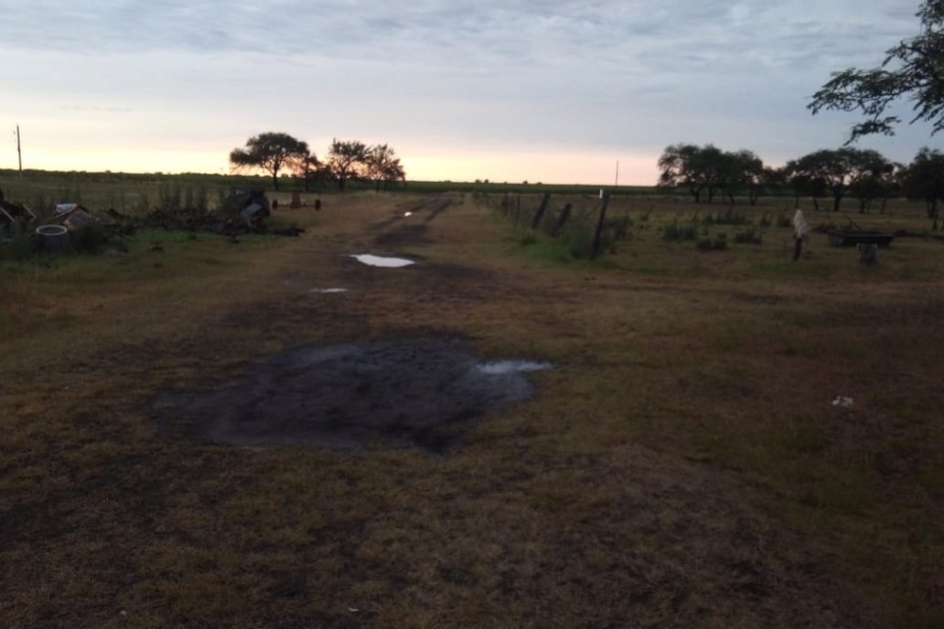 Productores registan con alegría escenas de campos encharcados, al menos un rato