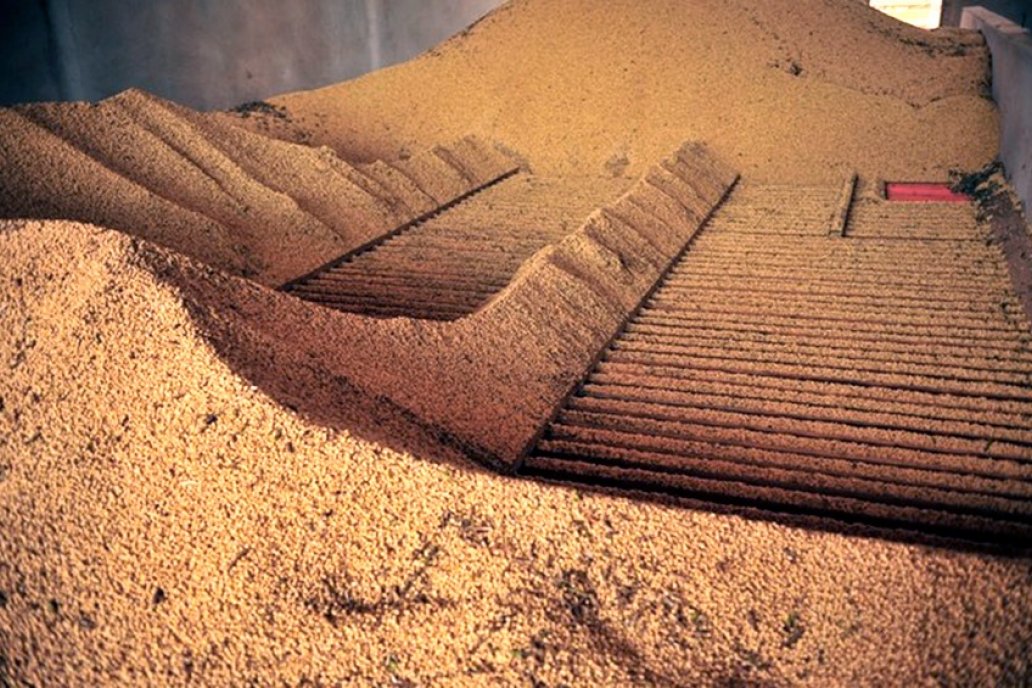 Agroexportadores liquidaron .600 millones de dólares en las primeras semanas Agroexportadores liquidaron .600 millones de dólares en las primeras semanas