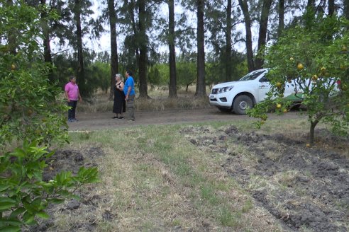 Visita a Establecimiento San Rafael - Una de las pocas quintas citricolas de Departamento Federal