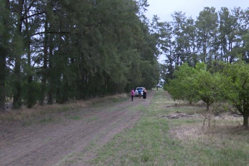 Visita a Establecimiento San Rafael - Una de las pocas quintas citricolas de Departamento Federal