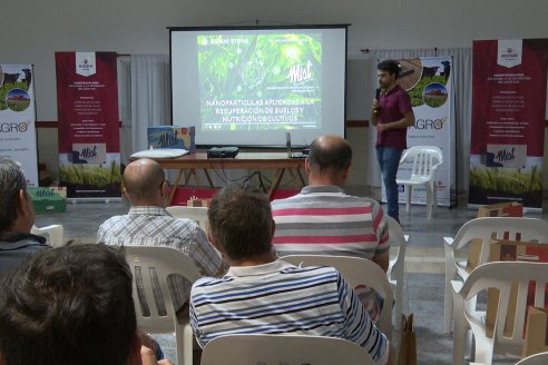Nanofertilizantes, el término que se instala y amplifica como sinónimo de sustentabilidad y rendimiento