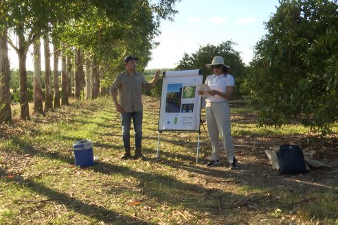 Jornada Técnica a Campo de Stoller Argentina: Manejo y herramientas para estrés en citricos en Colonia Racedo, Federación