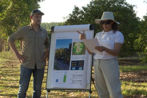 Jornada Técnica a Campo de Stoller Argentina: Manejo y herramientas para estrés en citricos en Colonia Racedo, Federación