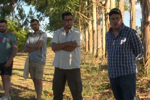 Jornada Técnica a Campo de Stoller Argentina: Manejo y herramientas para estrés en citricos en Colonia Racedo, Federación