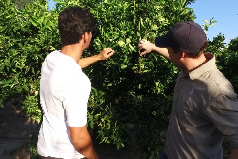 Jornada Técnica a Campo de Stoller Argentina: Manejo y herramientas para estrés en citricos en Colonia Racedo, Federación