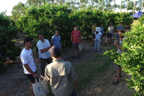 Jornada Técnica a Campo de Stoller Argentina: Manejo y herramientas para estrés en citricos en Colonia Racedo, Federación