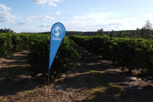 Jornada Técnica a Campo de Stoller Argentina: Manejo y herramientas para estrés en citricos en Colonia Racedo, Federación