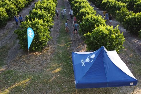 Jornada Técnica a Campo de Stoller Argentina: Manejo y herramientas para estrés en citricos en Colonia Racedo, Federación