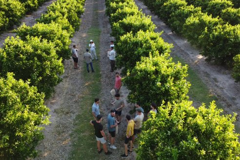 Jornada Técnica a Campo de Stoller Argentina: Manejo y herramientas para estrés en citricos en Colonia Racedo, Federación