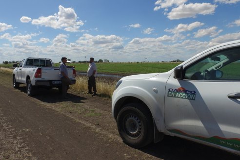 Cultivo de Arroz - Lote Familia Cattaneo, Arroyo Sandoval, Dpto Villaguay - Ing. Nicolas Galeano - Coop.San Salvador Ltda