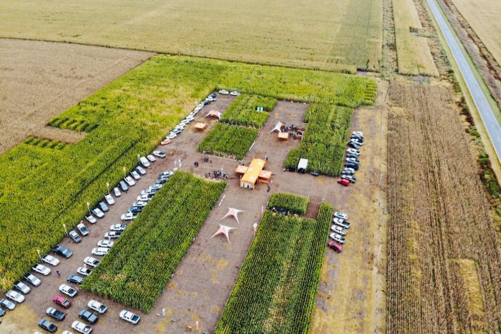 Se abre la ventana de siembra para maíces tardíos en toda la región agrícola