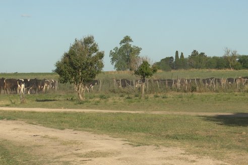 Visita a Tambo Asociativo Colonia Reffino - Entre Ríos