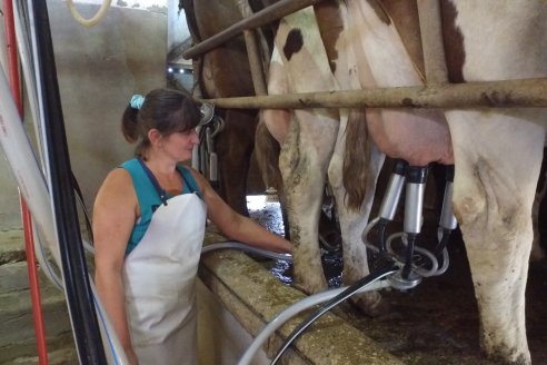 Visita a Tambo Asociativo Colonia Reffino - Entre Ríos