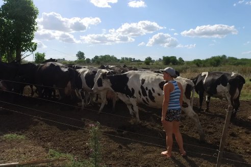 Visita a Tambo Asociativo Colonia Reffino - Entre Ríos