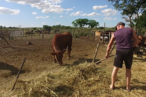 Visita a Tambo Asociativo Colonia Reffino - Entre Ríos