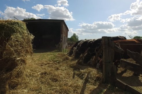 Visita a Tambo Asociativo Colonia Reffino - Entre Ríos