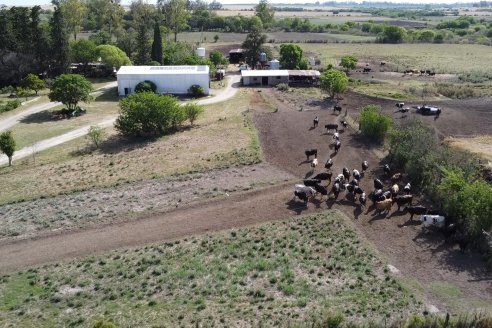 Visita a Tambo Asociativo Colonia Reffino - Entre Ríos