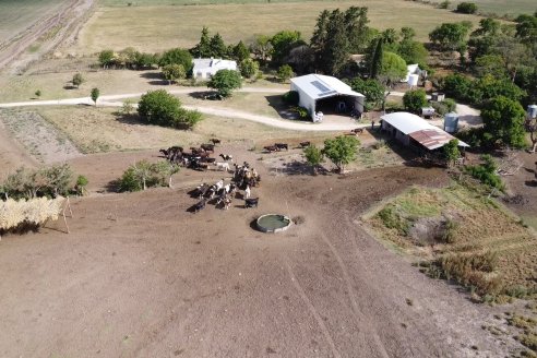 Visita a Tambo Asociativo Colonia Reffino - Entre Ríos