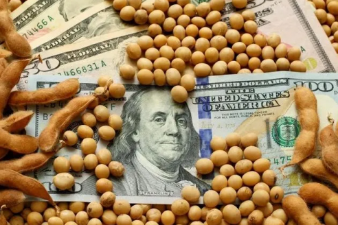 Agroexportadora intimada a pagar $2.000 millones