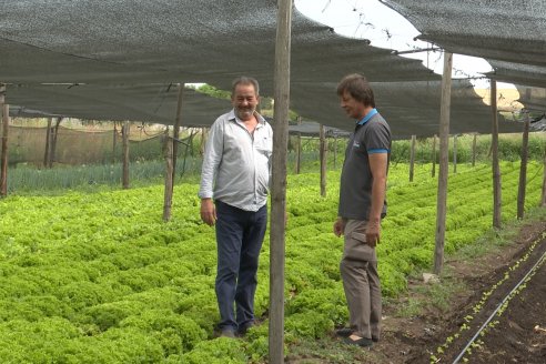 Germán Liendo - Productor Hortícola - 