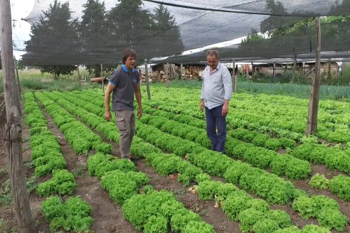 Germán Liendo - Productor Hortícola - 