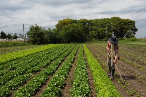 Germán Liendo - Productor Hortícola - 