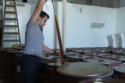 Visita a la Coop. Apícola del Paraná Ltda - Diálogo con Jorge Pitter