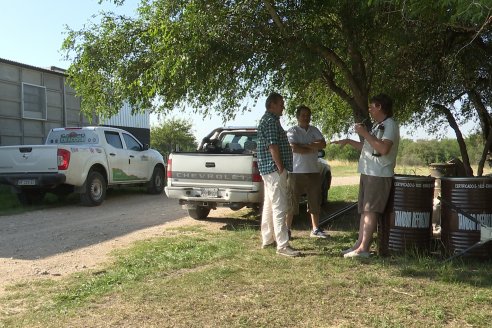 Visita a la Coop. Apícola del Paraná Ltda - Diálogo con Jorge Pitter