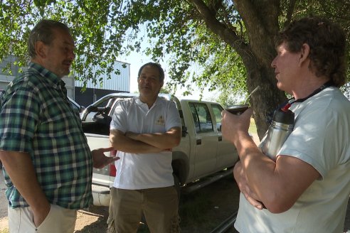 Visita a la Coop. Apícola del Paraná Ltda - Diálogo con Jorge Pitter