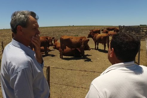 Claudio y Kiara Balla - Productores Pecuarios, Establecimiento El Cholito - Apasionados por el Angus Colorado