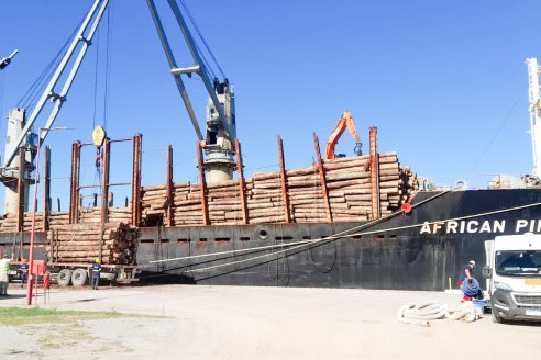 Cargar con maderas un buque en puerto Uruguay, o Ibicuy, demanda el trabajo de unas 400 personas