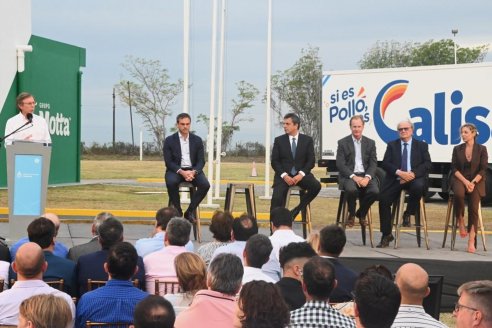 El Gobierno anunció el pago de $3500 millones para compensar a productores porcinos, de carne aviar y huevo