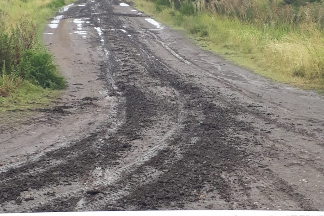 Los caminos van a ceder, como siempre, pero los campos van a florecer. Los caminos van a ceder, como siempre, pero los campos van a florecer.