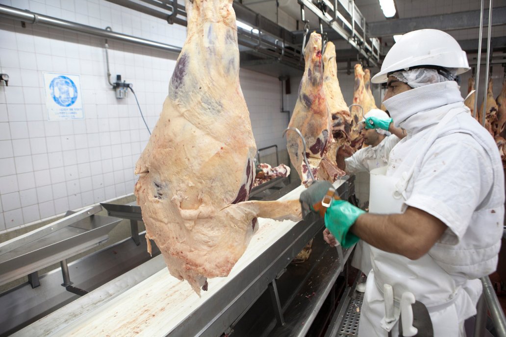 La última operación nacional en Argelia con cortes vacunos data de 2018. La última operación nacional en Argelia con cortes vacunos data de 2018.