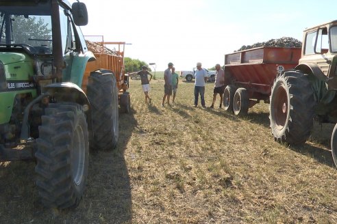 Los patentamientos de julio se mantuvieron en la senda negativa y el acumulado del año es en baja