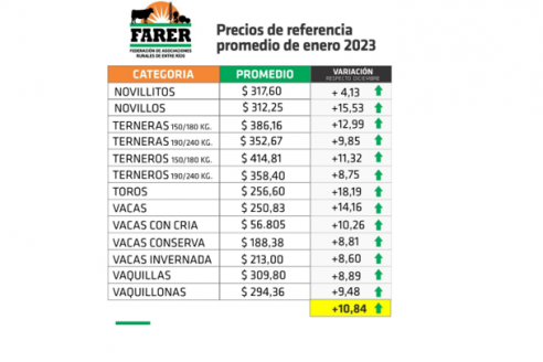 Destacan subas pronunciadas de la hacienda entrerriana