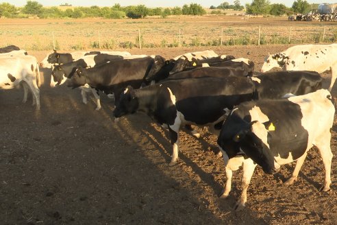 Carlos Bernhart , Contratista Rural y Gustavo Gareis, Productor Tambero - Fertilización Orgánica en Aldea Santa Rosa