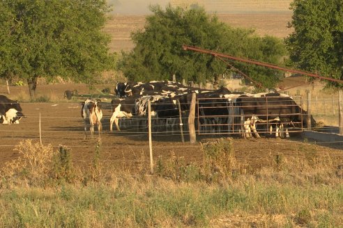 Carlos Bernhart , Contratista Rural y Gustavo Gareis, Productor Tambero - Fertilización Orgánica en Aldea Santa Rosa