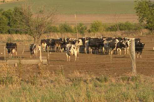 Carlos Bernhart , Contratista Rural y Gustavo Gareis, Productor Tambero - Fertilización Orgánica en Aldea Santa Rosa