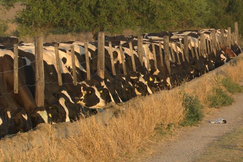 Carlos Bernhart , Contratista Rural y Gustavo Gareis, Productor Tambero - Fertilización Orgánica en Aldea Santa Rosa