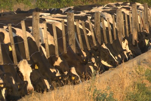 Carlos Bernhart , Contratista Rural y Gustavo Gareis, Productor Tambero - Fertilización Orgánica en Aldea Santa Rosa