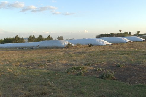 Carlos Bernhart , Contratista Rural y Gustavo Gareis, Productor Tambero - Fertilización Orgánica en Aldea Santa Rosa