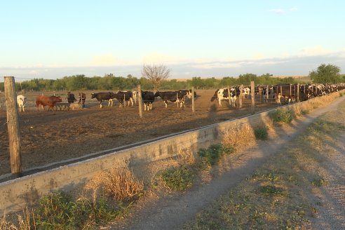 Carlos Bernhart , Contratista Rural y Gustavo Gareis, Productor Tambero - Fertilización Orgánica en Aldea Santa Rosa