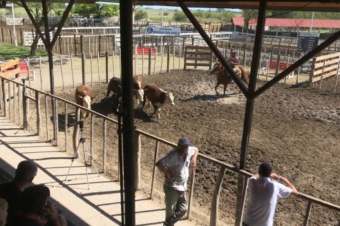 Luis Miguel Etchevehere - Remate Feria Maria Dolores - Panorama cadena de ganados y carnes en Entre Ríos