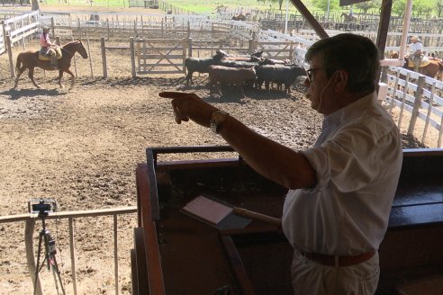 Luis Miguel Etchevehere - Remate Feria Maria Dolores - Panorama cadena de ganados y carnes en Entre Ríos