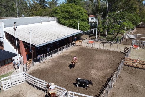 Luis Miguel Etchevehere - Remate Feria Maria Dolores - Panorama cadena de ganados y carnes en Entre Ríos