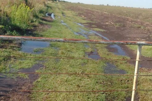 Y sigue lloviendo sobre Entre Ríos, con marcas alentadoras