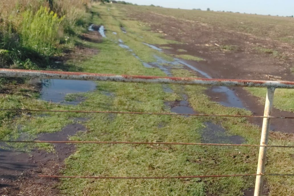 Suelos encharcados en Aldea Santa María, una postal optimista de este martes. Suelos encharcados en Aldea Santa María, una postal optimista de este martes.