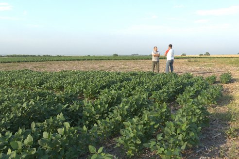 Diego Santos - EEA INTA Paraná -  Actualidad del cultivo de Soja.