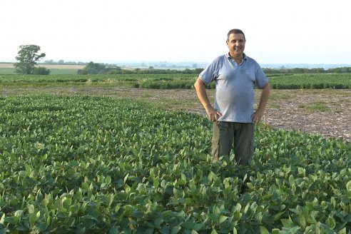 Diego Santos - EEA INTA Paraná -  Actualidad del cultivo de Soja.